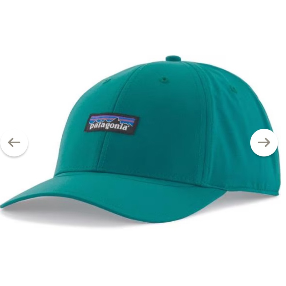 Patagonia Airshed Cap